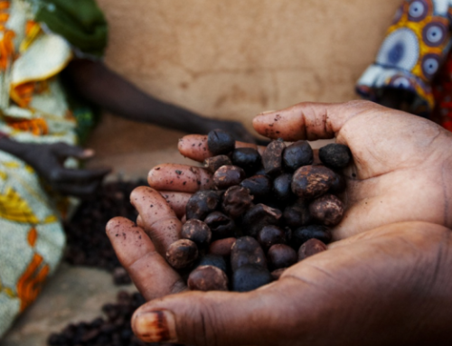 Support to Agricultural Value Chain Actors for Promoting Quality and Improving the Competitiveness of Togo