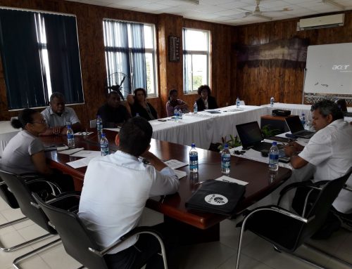 Capacity Building Support to the Melanesian Spearhead Group Secretariat (MSG) and to Enhance the Efficiency of the Region’s Trade Facilitation Services