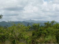 The Maya Mountains contain the majority of Belize's endemic plant species