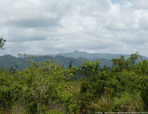 Revision of the Forests Act, Chapter 213, Substantive Laws of Belize, Revised Edition 2011
